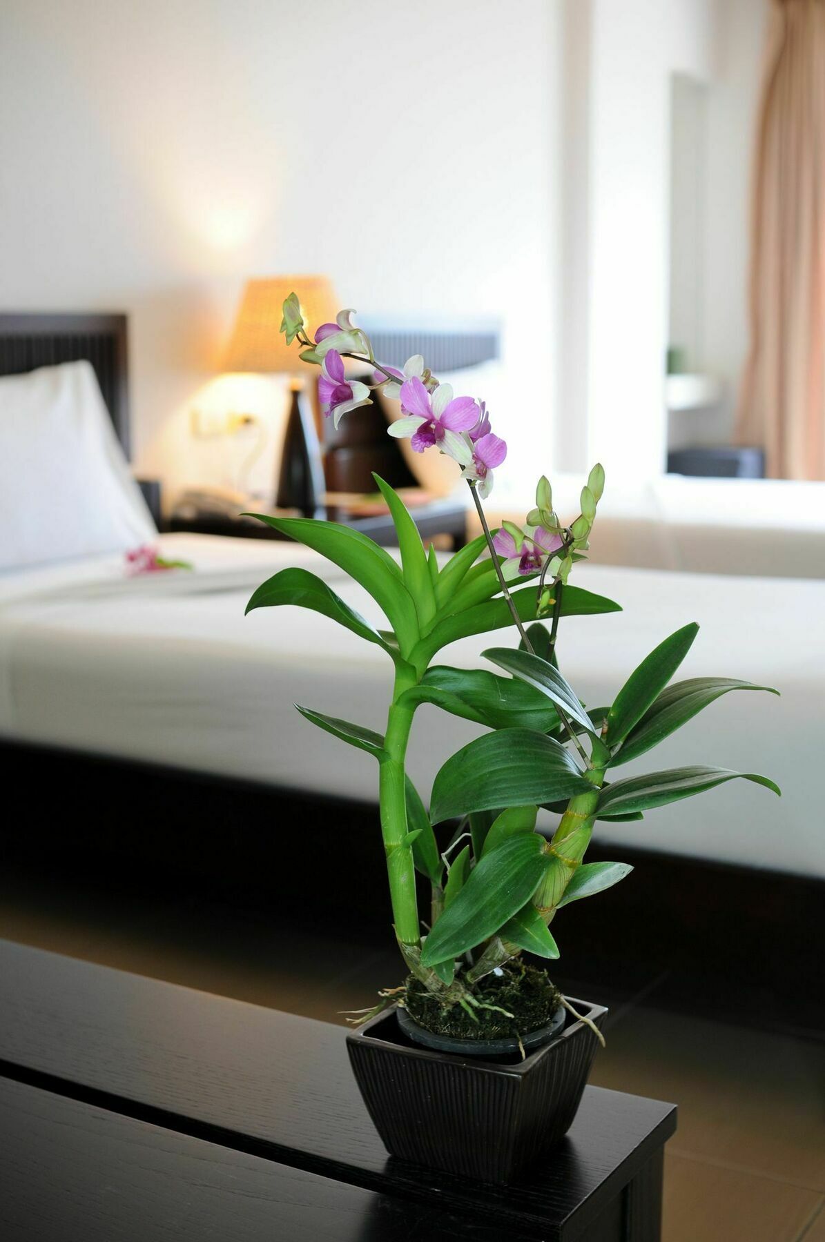 Kasemsarn Hotel Chanthaburi Ngoại thất bức ảnh